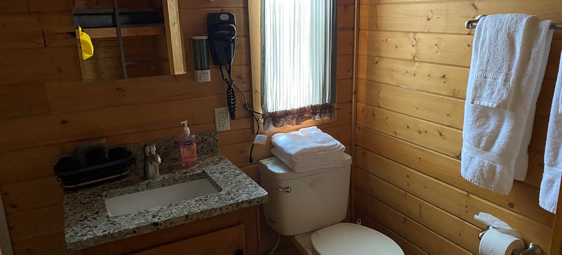 DLX Cabin Bathroom