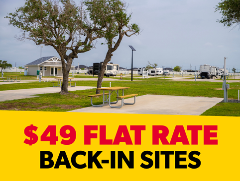 $49 Flat Rate Special Photo