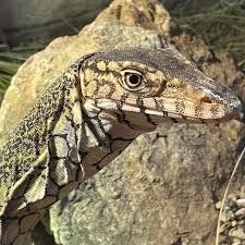 Reptilandia Zoo