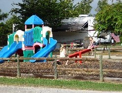 PLAYGROUND FOR THE KIDS