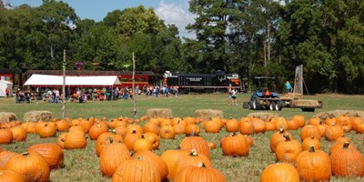 Rusk, Texas in the Fall: Scare on the Square