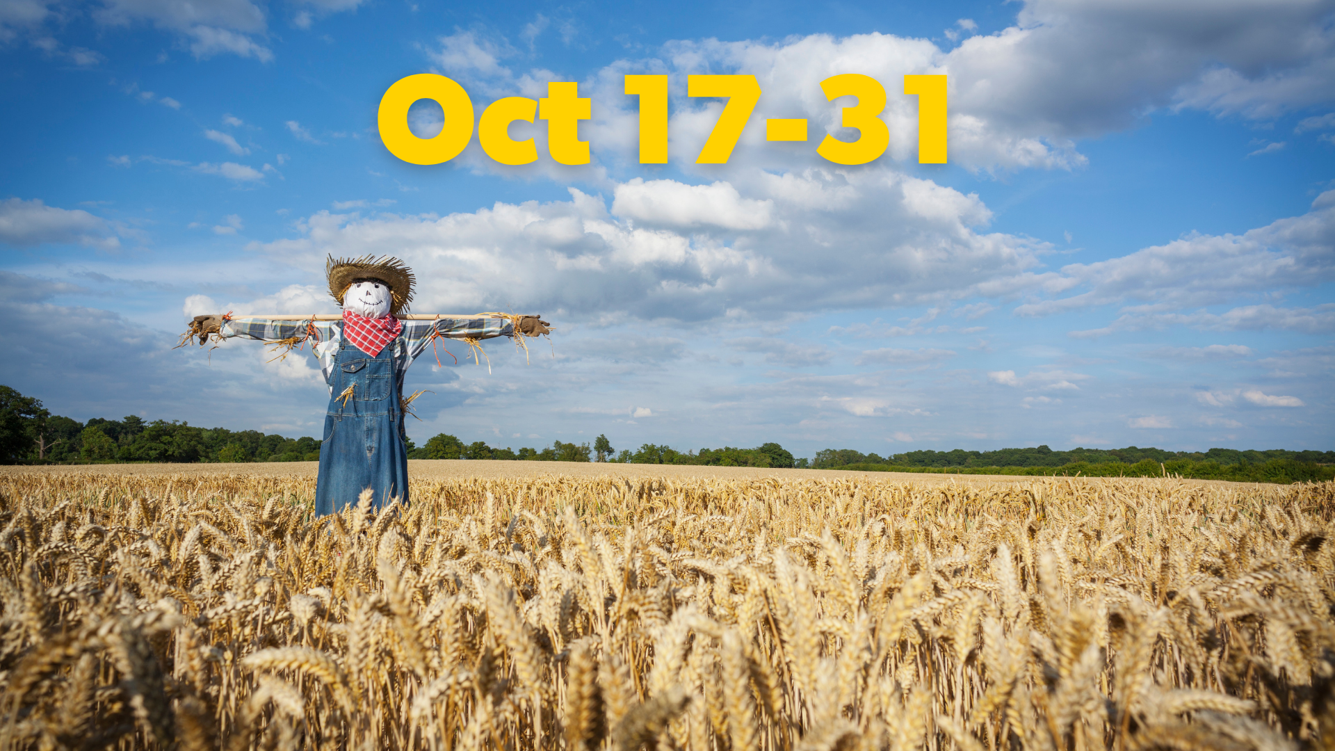 Scarecrow Trail in Jacksonville Photo