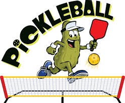 Pickle Ball New for 2019