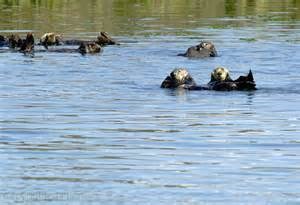 Elkhorn Slough