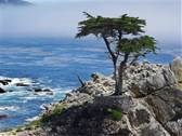 17-Mile Drive, Pebble Beach, CA