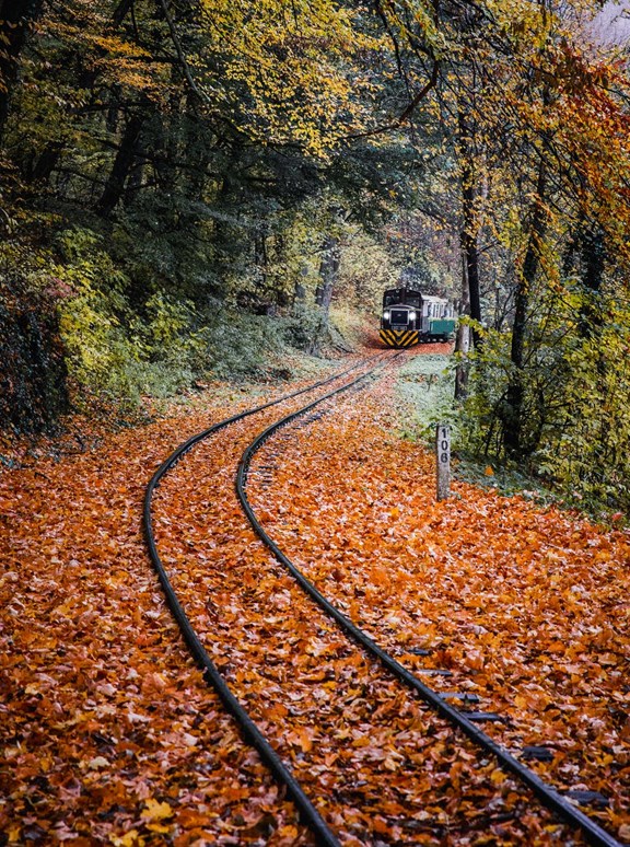 Arkansas & Missouri Railroad Scenic Train Rides