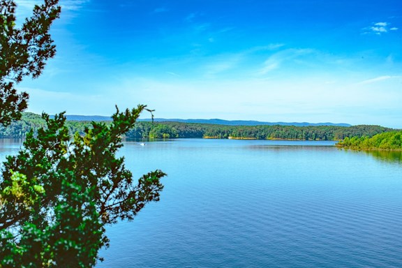 Brushy Lake Hiking and Biking Trails