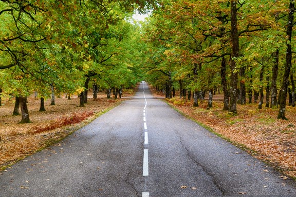 Beautiful Eastern Oklahoma Location -- Green Country