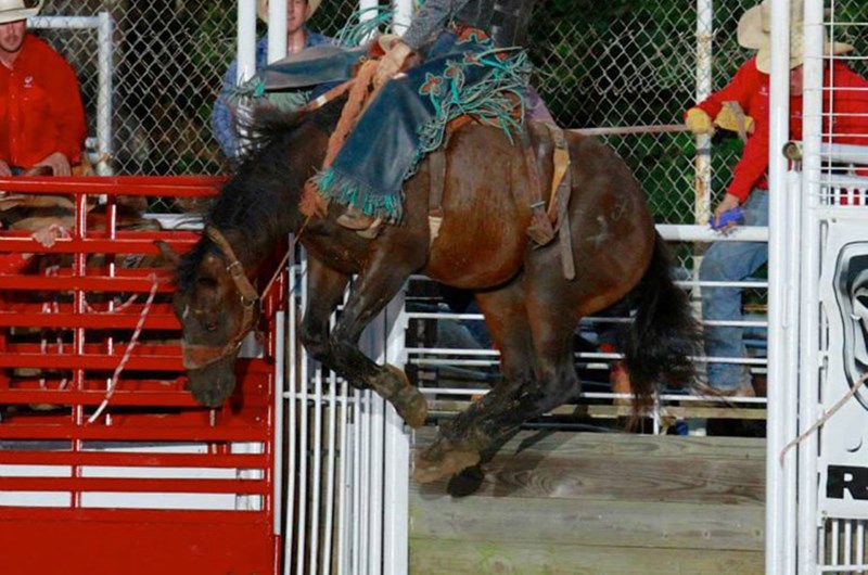 Annual Lion's Club IPRA Rodeo Photo