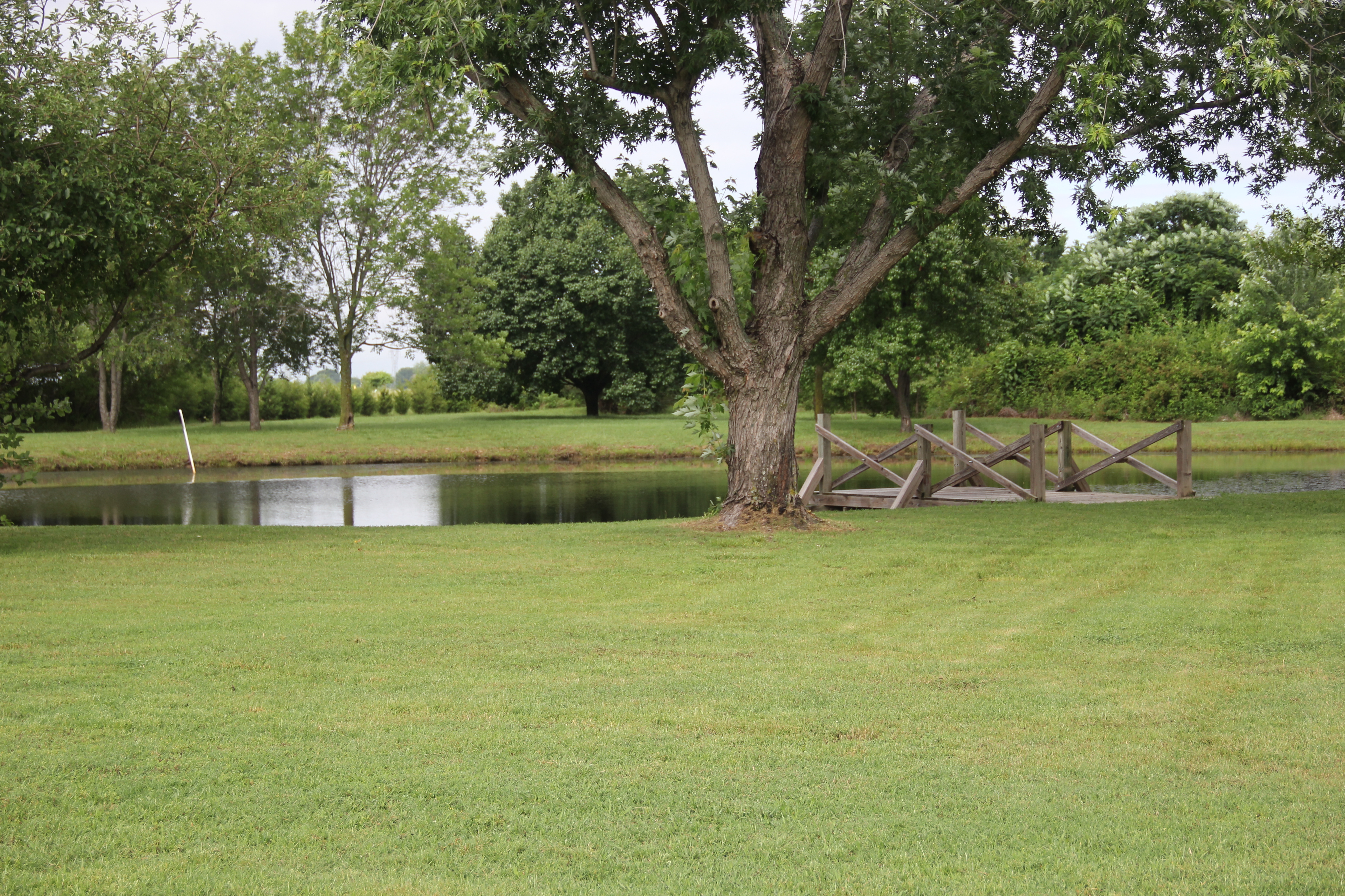 Enjoy a peaceful evening by our serene, stocked pond.
