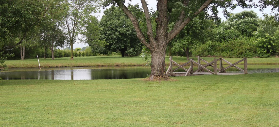 Enjoy a peaceful evening by our serene, stocked pond.