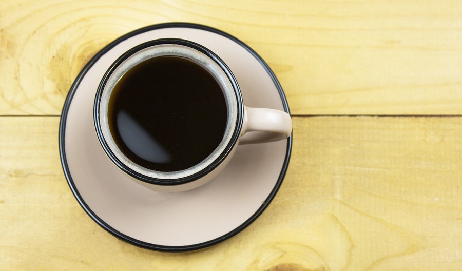 Bring the Forest to Your Mug with Pine Needle Tea