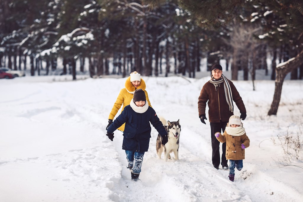 Cold Weather Fun Near Lebanon, Maine