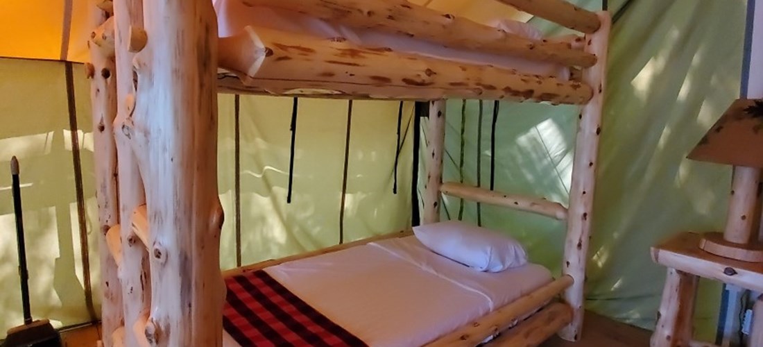 Safari Bunk Beds