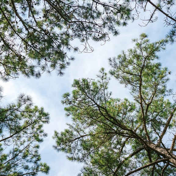 Plan a trip to Nottingham, New Hampshire