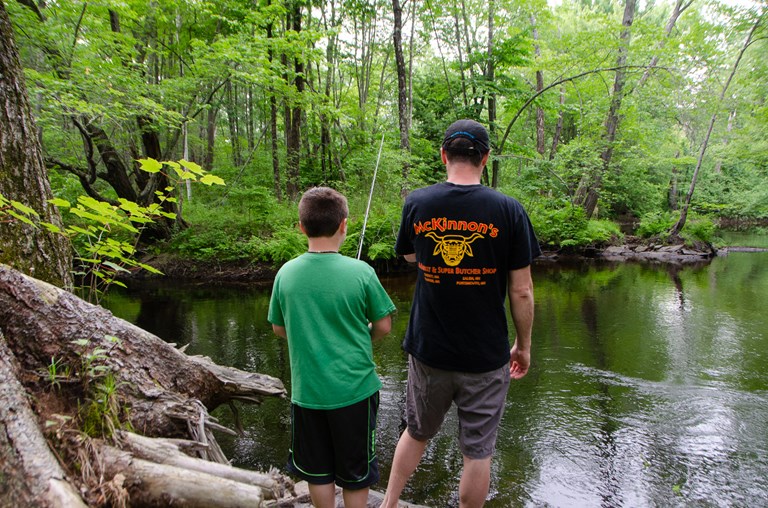 Lebanon, Maine Camping Recreation Lebanon KOA on Salmon Falls River