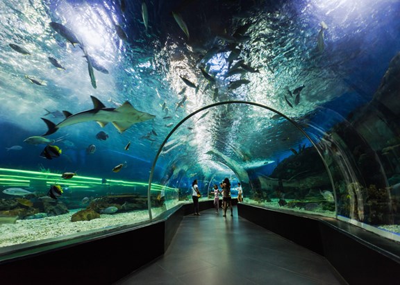 Living Planet Aquarium