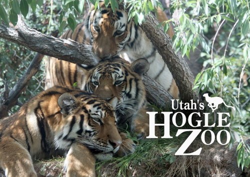 Utah's Hogle Zoo