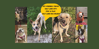 Pet Friendly Adventures in Salt Lake City