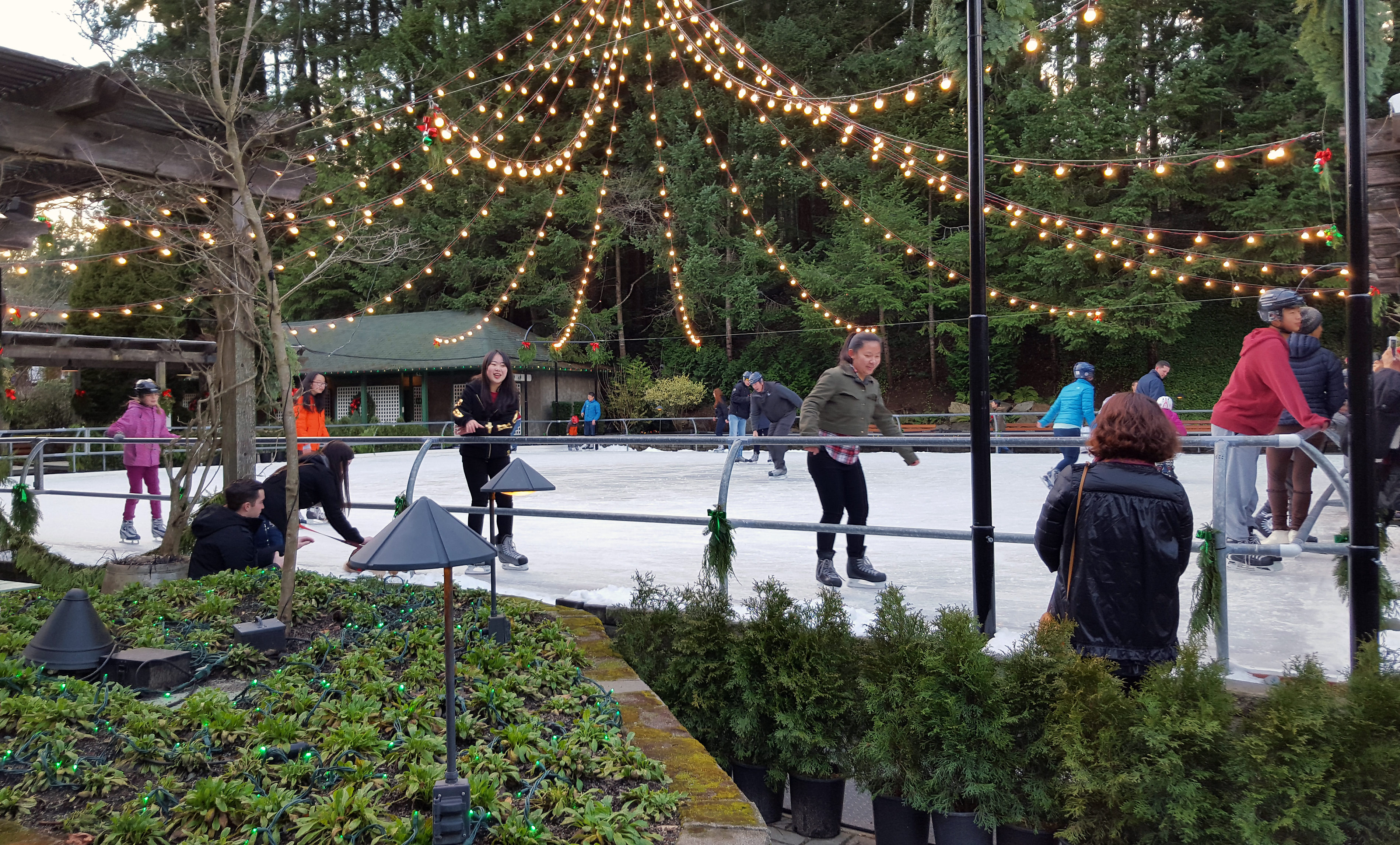 Ice Skating in the City – A Fun Winter Tradition Photo