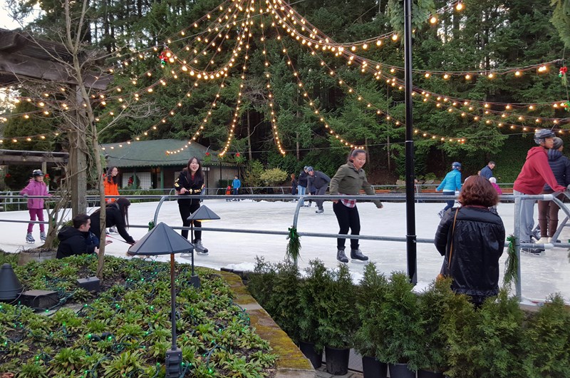 Ice Skating in the City – A Fun Winter Tradition Photo
