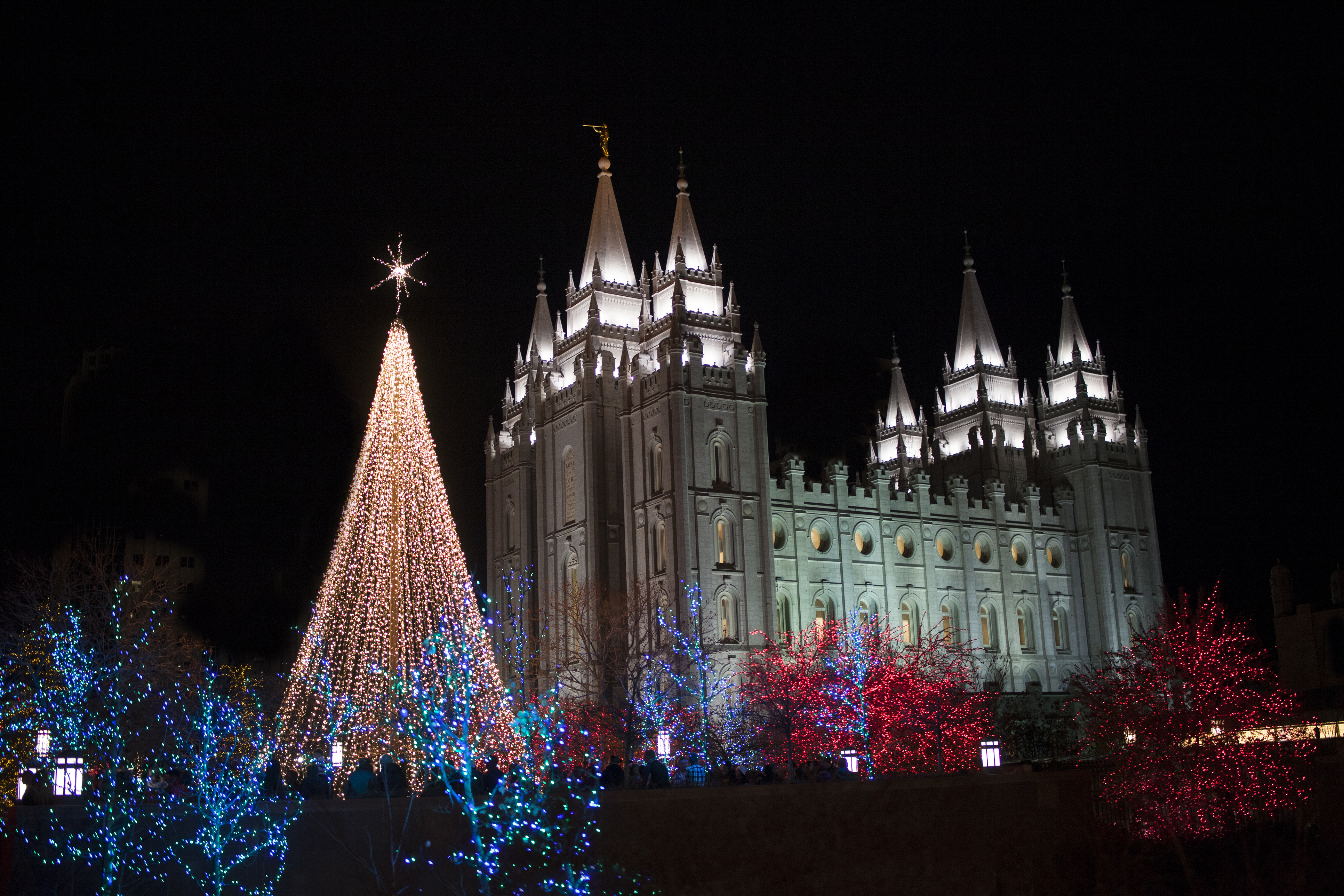 Christmas Lights at Temple Square Photo