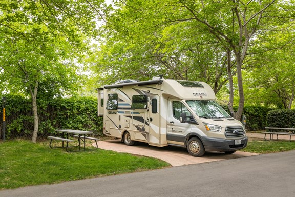 Very Shaded Back-In Sites are Great For Small RV's