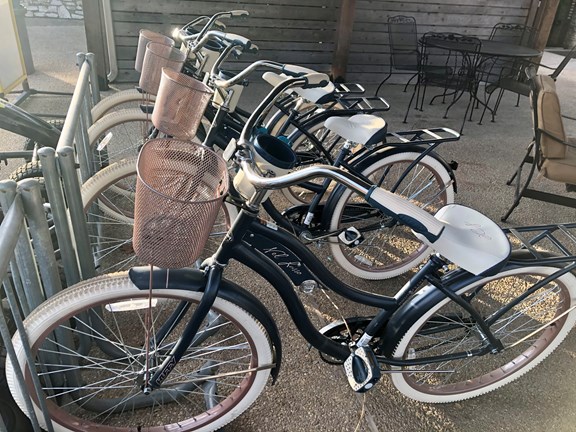 Pedal Cart & Bike Rentals