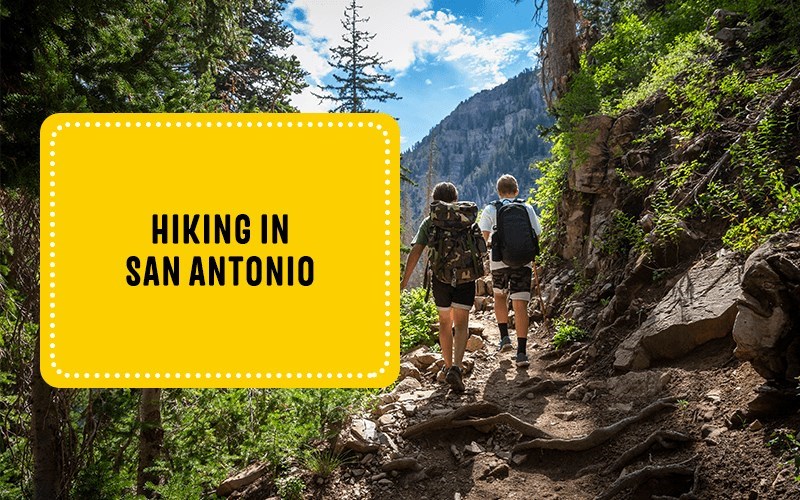 Best Hiking Trails in San Antonio: Explore Nature's Wonders