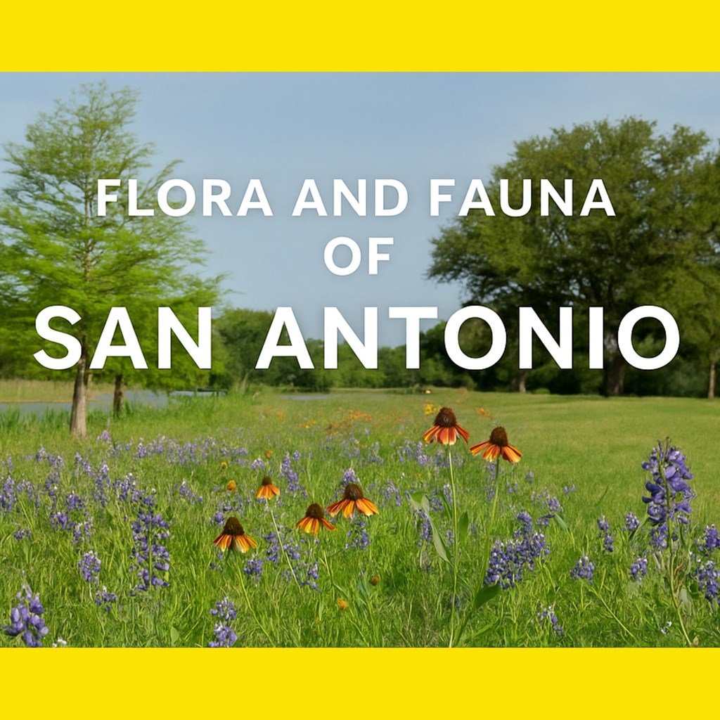 Discover the Flora and Fauna Around the Alamo KOA