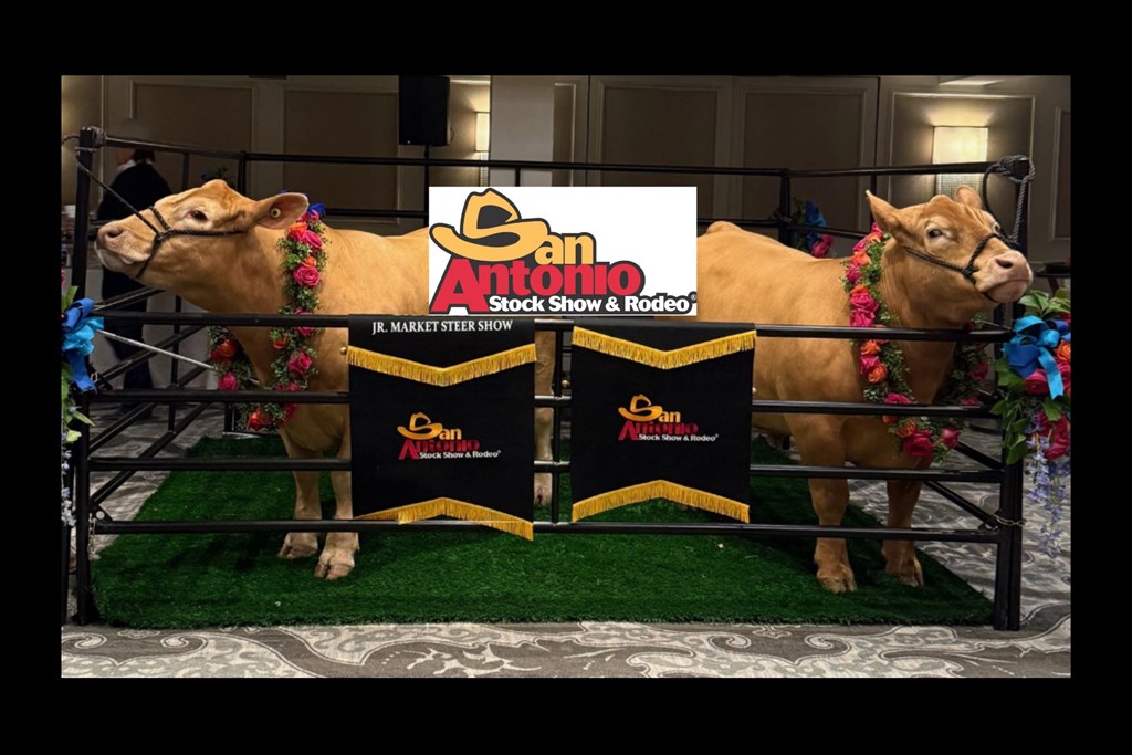 Planning Your Stay for the San Antonio Stock Show & Rodeo