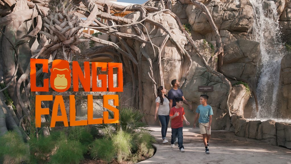 Make a Splash at San Antonio Zoo's Congo Falls!
