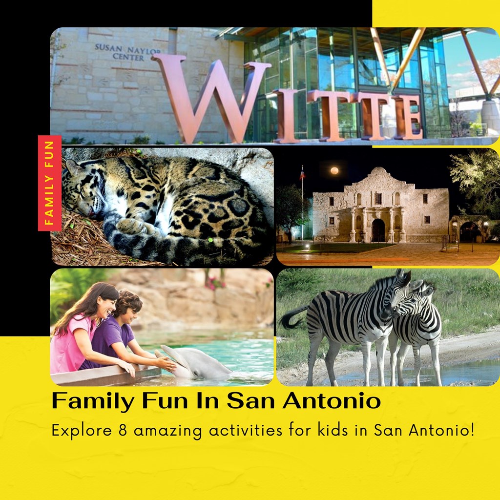 Top Kid-Friendly Attractions Near San Antonio KOA