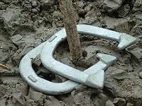 Horseshoes