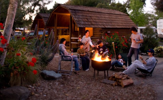 Campfire with S'mores