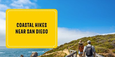 Coastal Hikes Near San Diego