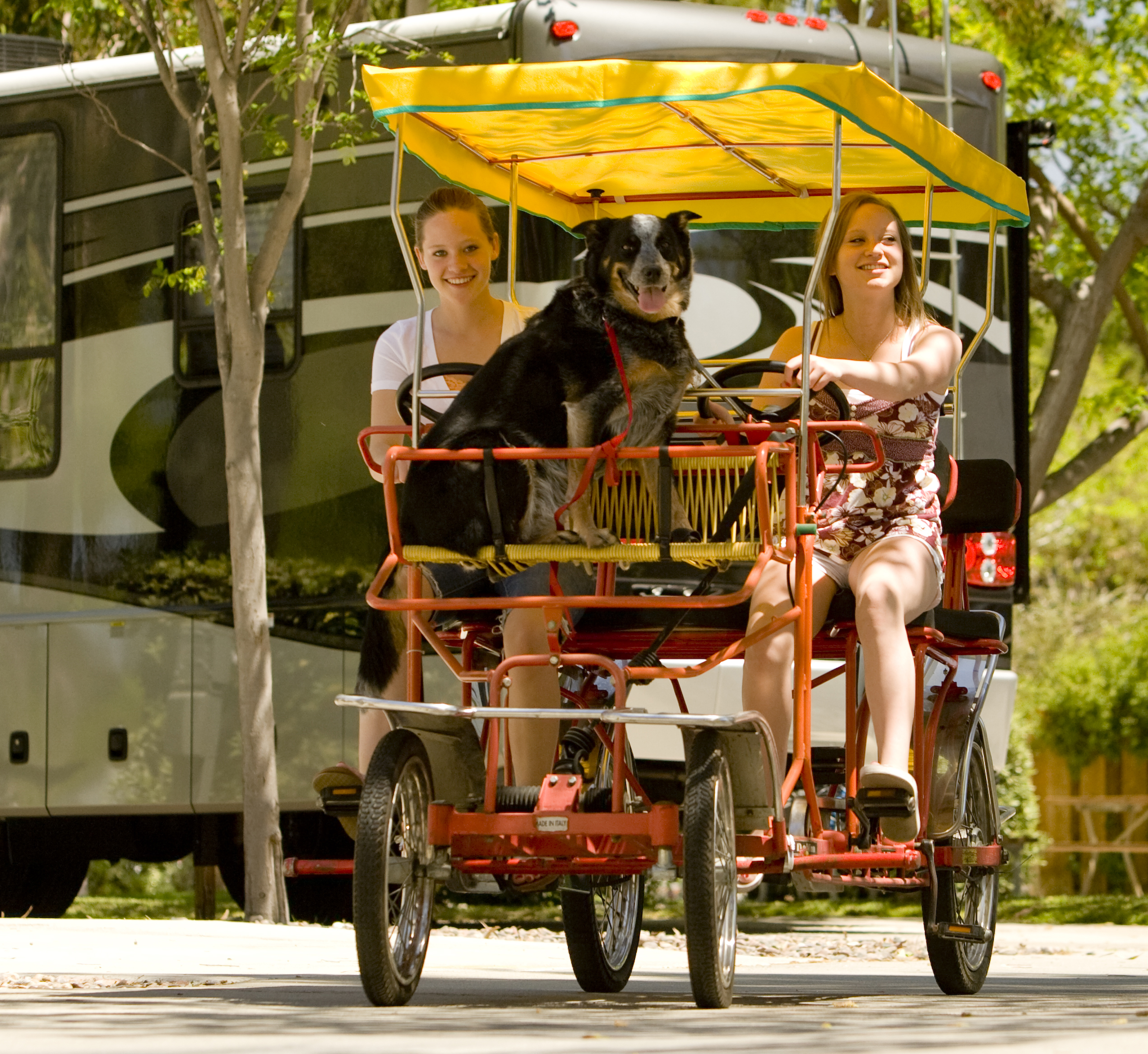 Activities for August 27-30, 2026 Photo