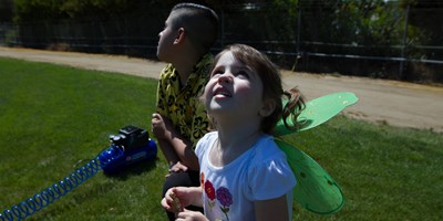 Activities for July 27-August 2, 2026