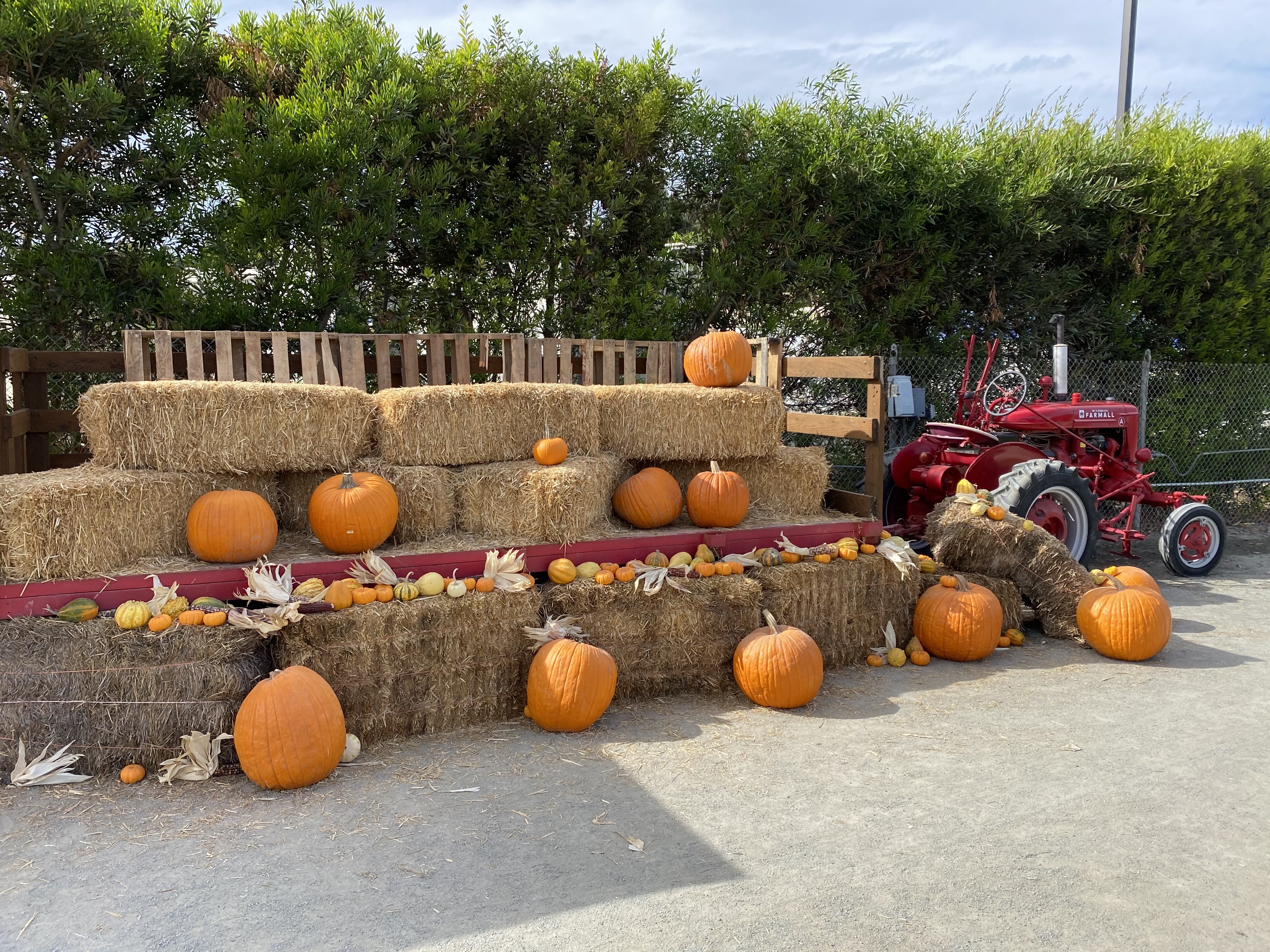 Fall Festival 3 * October 1-4, 2026 Photo