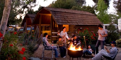Activities for November 19-22, 2026