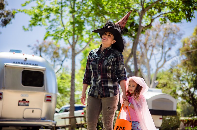 Fall Festival 4 * October 8-11, 2026 Photo