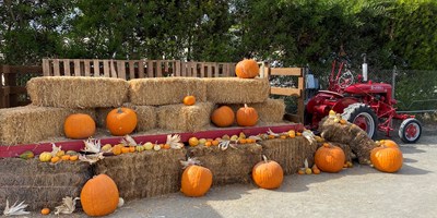 Join us for a Fall Festival Costume Contest
