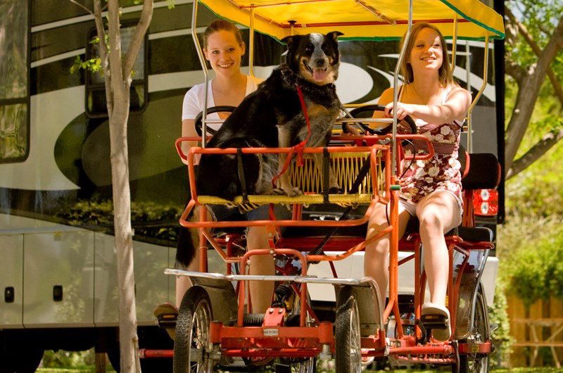 Activities for July 20-26, 2026 Photo