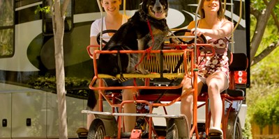 Activities for July 20-26, 2026