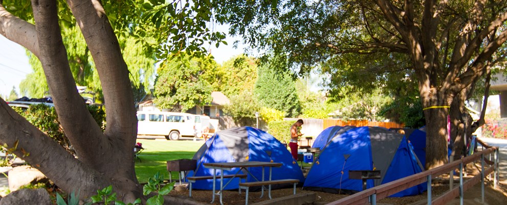 Economy Tent Site