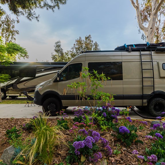Plan a trip to San Marcos, California
