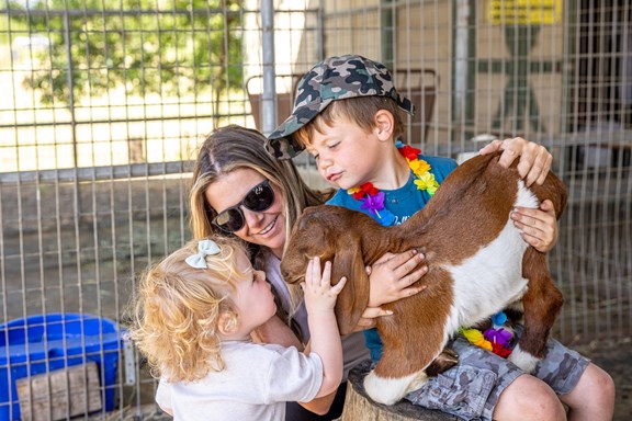 Petting Farm