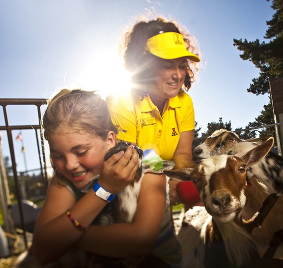 Petting Farm