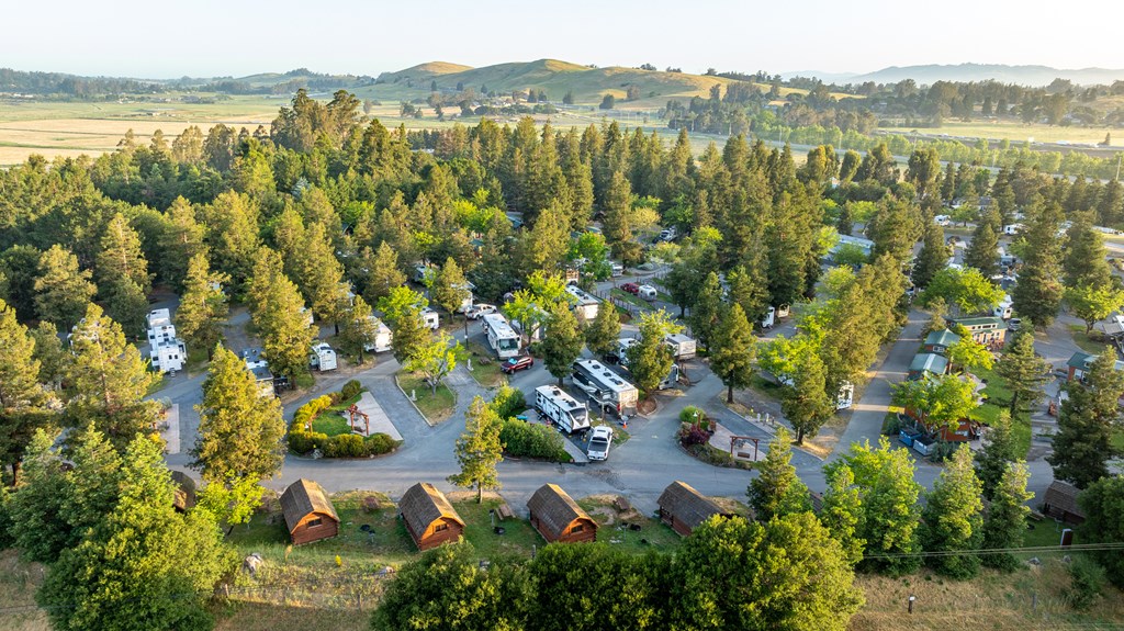 Explore the Unique Sections of the Petaluma KOA Resort