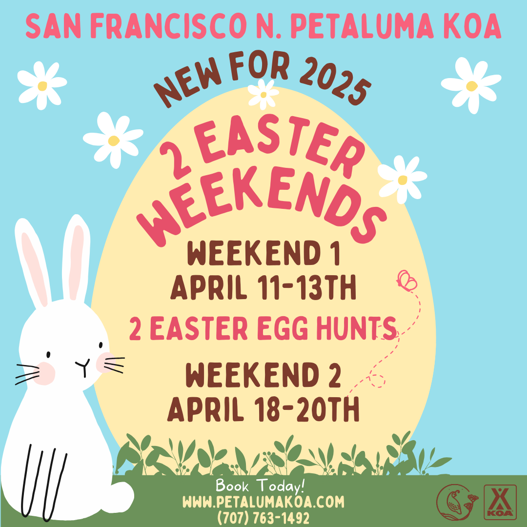 San Francisco North / Petaluma KOA Resort - Main photo